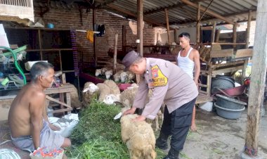 Polsek-Tulangan-Motivasi-Peternak-Kambing-Dukung-Ketahanan-Pangan-Polresta-Sidoarjo