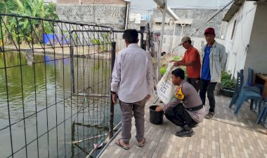 Kapolsek-Sedati-Harapkan-Budidaya-Ikan-Nila-Meningkatkan-Hasil-Produksi-untuk-Swasembada-Pangan-Mandiri