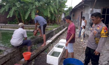 Kanit-Binmas-Polsek-Krembung-Apresiasi-Warga-Panen-Ikan-Gurami
