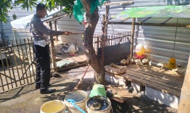 Polsek-Porong-Dukung-Budidaya-Entok-Jumbo-di-Plumbon