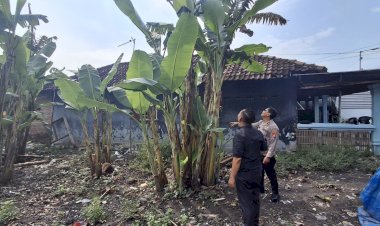 Warga-Desa-Popoh-Manfaatkan-Lahan-Kosong-untuk-Tanaman-Pisang,-Dukung-Program-Ketahanan-Pangan-Bergizi