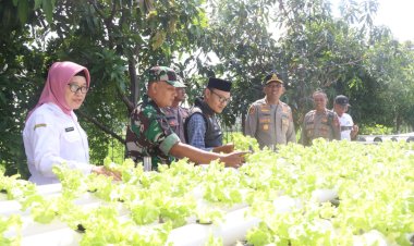 Kapolresta-Sidoarjo-Apresiasi-Budidaya-Pakcoy-Hidroponik-untuk-Swasembada-Pangan