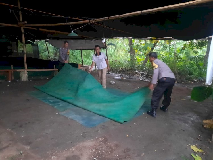 Berantas Perjudian Polisi Bongkar Arena Sabung Ayam di Nganjuk