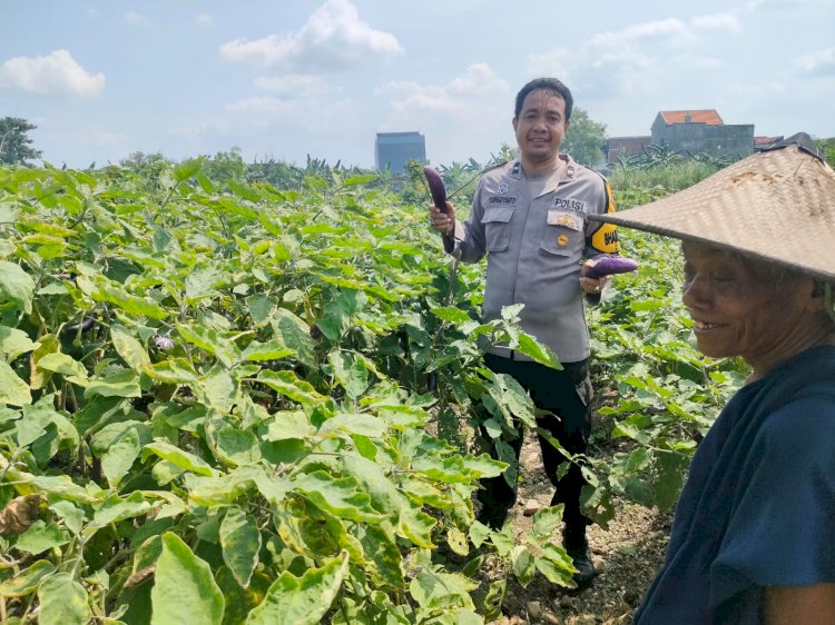 Polisi Cinta Petani, Turun Langsung ke Lahan